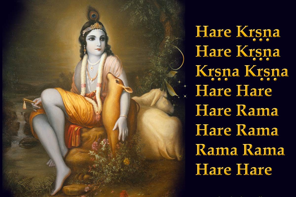 Hare krishna